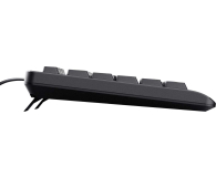 Klawiatura TRUST BASICS US - 1377780 - zdjęcie 4